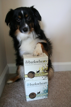 barkwheats dog biscuits