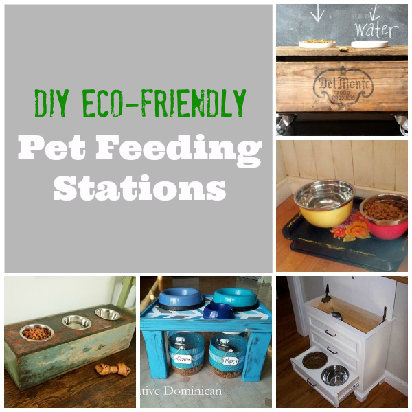 DIY Eco-Friendly Pet Feeding Station