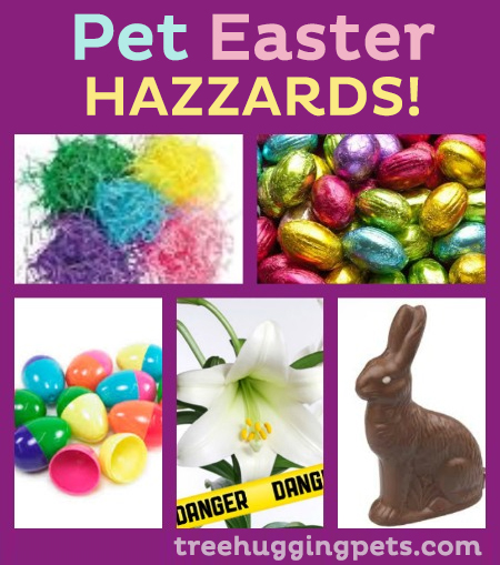 Easter Hazards For Pets